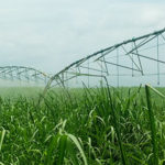 pivote de riego agrícola
