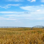 pivots valley