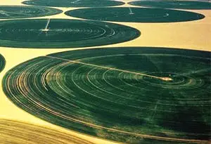 agricultura en Libia