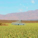 la propiedad de la finca y el equipo de riego Pivot