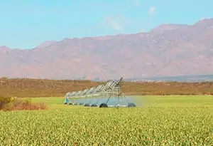 la propiedad de la finca y el equipo de riego Pivot