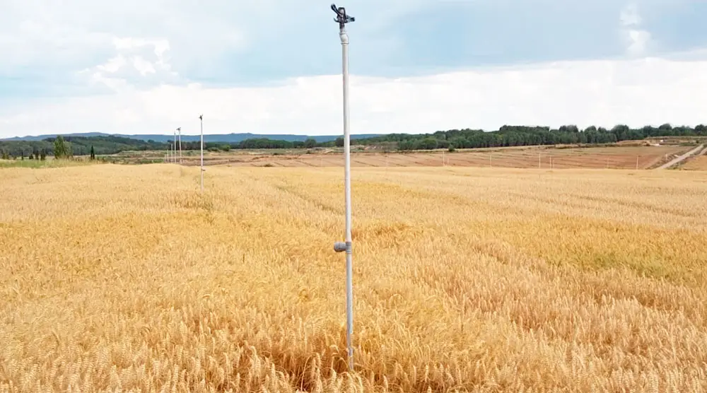 obstrucciones de aspersores en coberturas