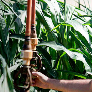 máquina pivot