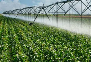 problemas en el Pivot