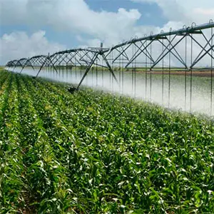 problemas en el Pivot