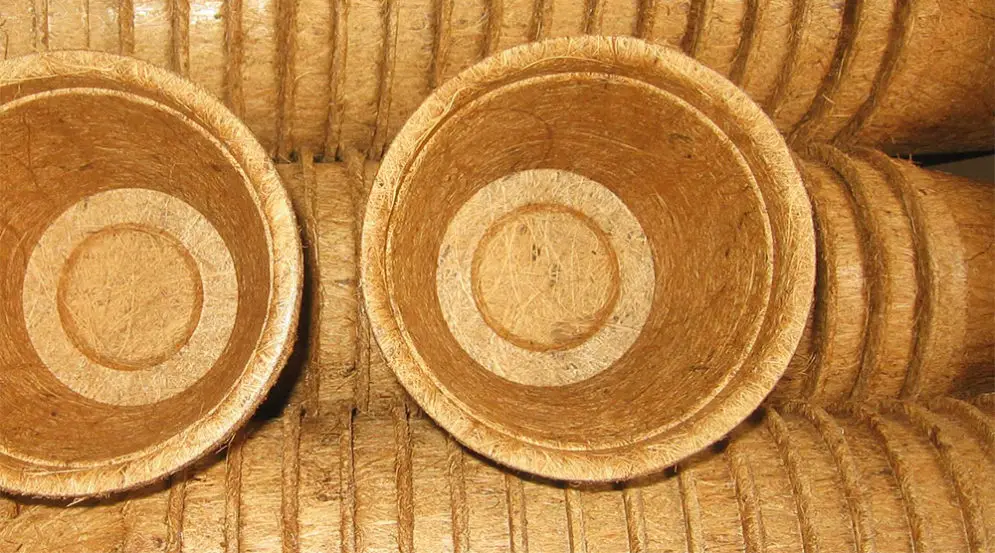 packaging sostenible