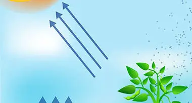 evapotranspiración y riego