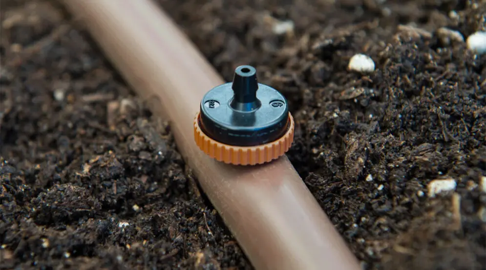 riego por goteo subterráneo