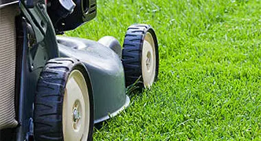 cortar el césped correctamente