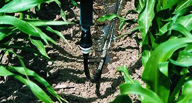 pérdida de agua para riego