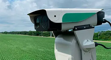 pérdidas en cultivos de cereal