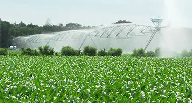 uniformidad de riego con Pivot