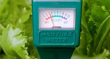 cómo medir la humedad del suelo