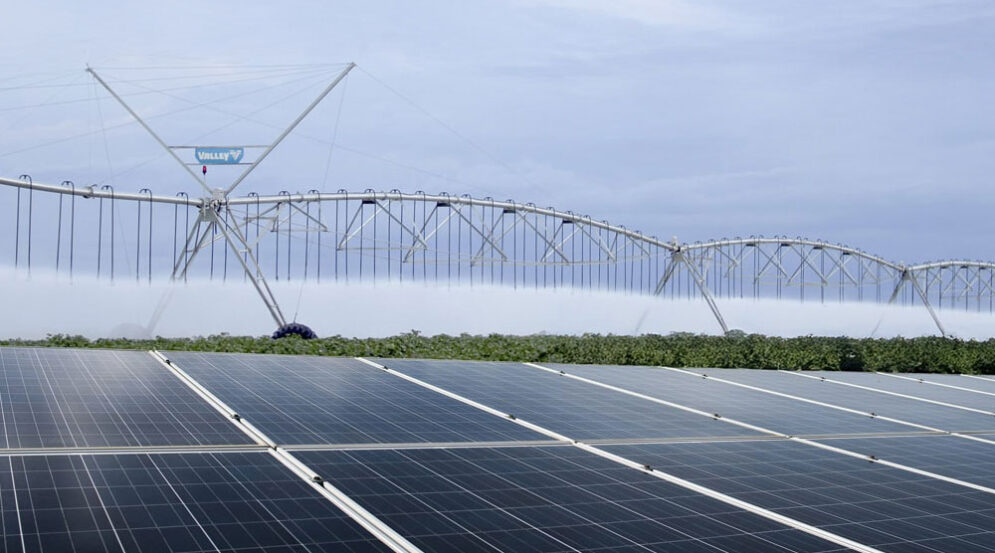 paneles solares