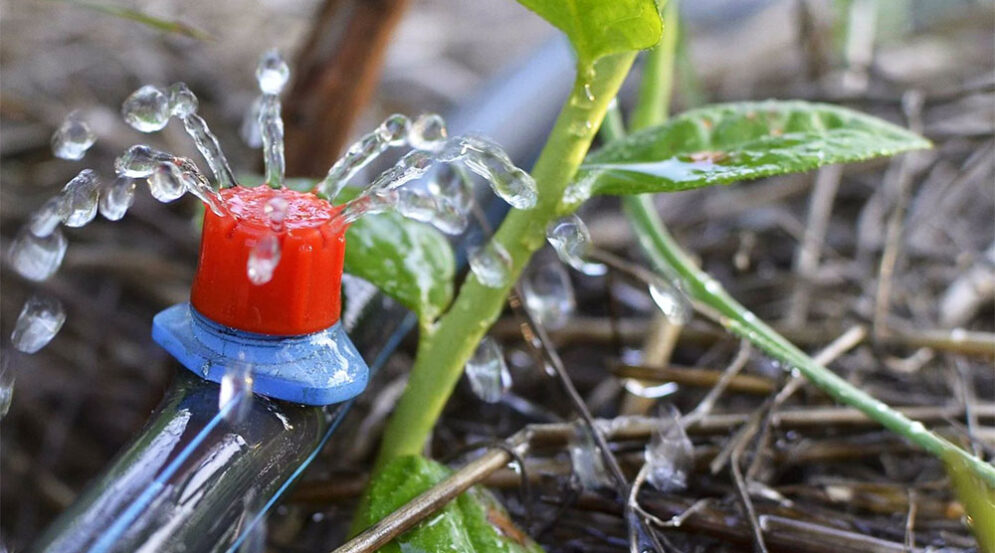 uso del agua
