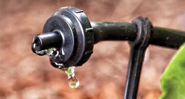 uso del agua agricultura