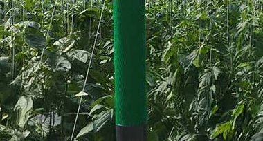 tratar el agua de riego