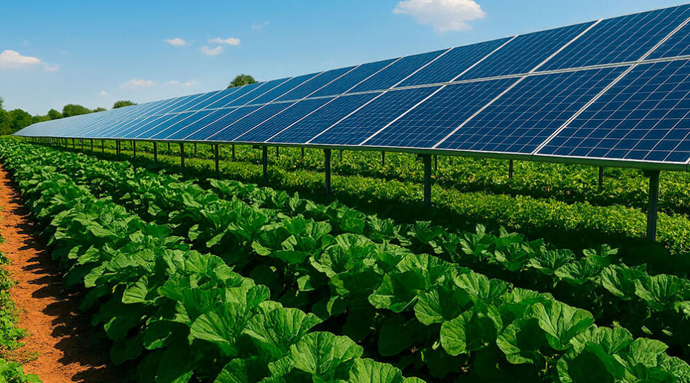 energía solar en el campo