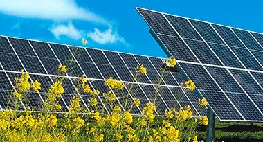 producir energía solar en el campo