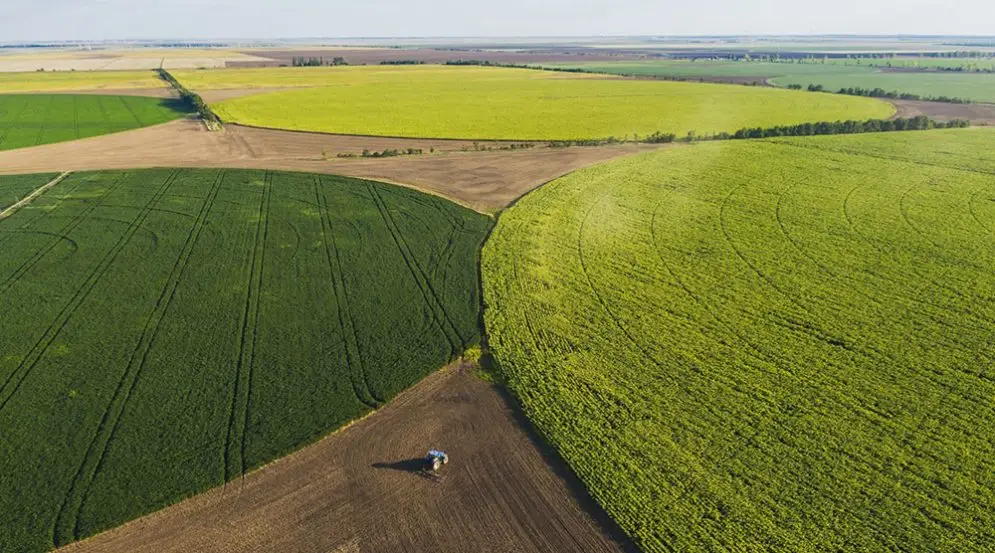agricultura extensiva