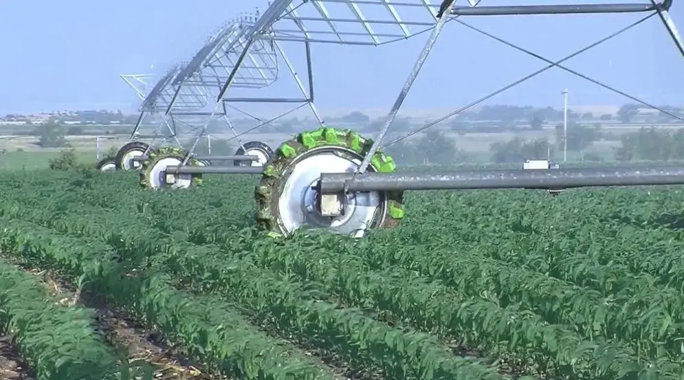 neumáticos radiales