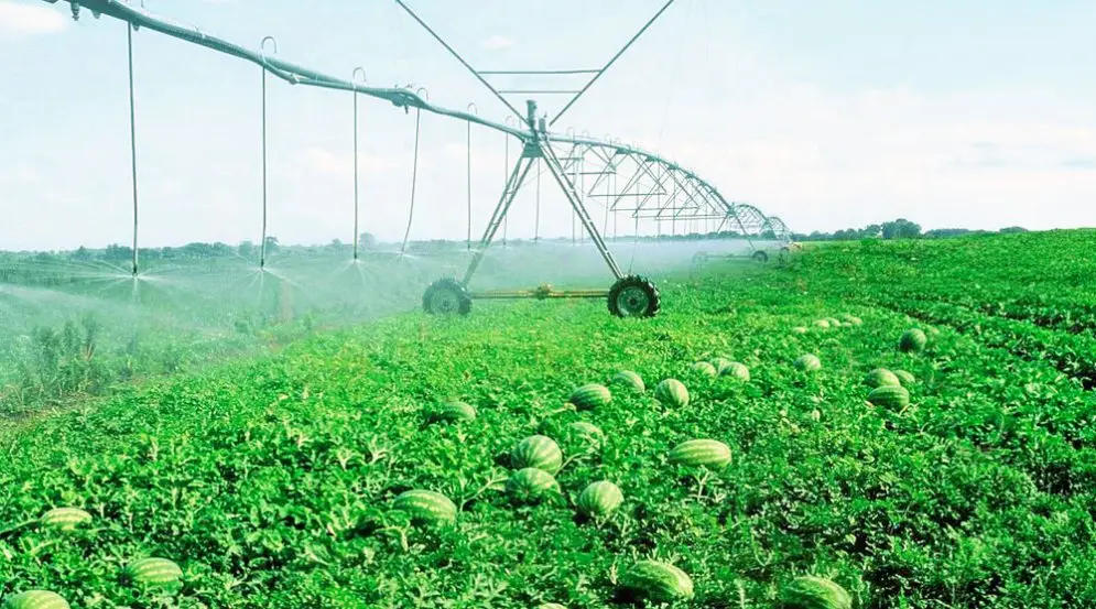 cambiar el sistema de riego