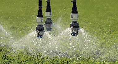 mejorar rendimiento del Pivot