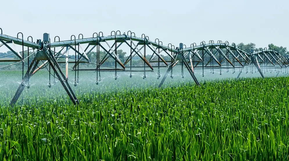 rendimiento del Pivot