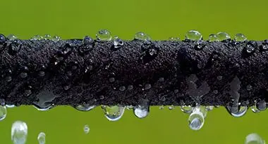 cómo diseñar un huerto