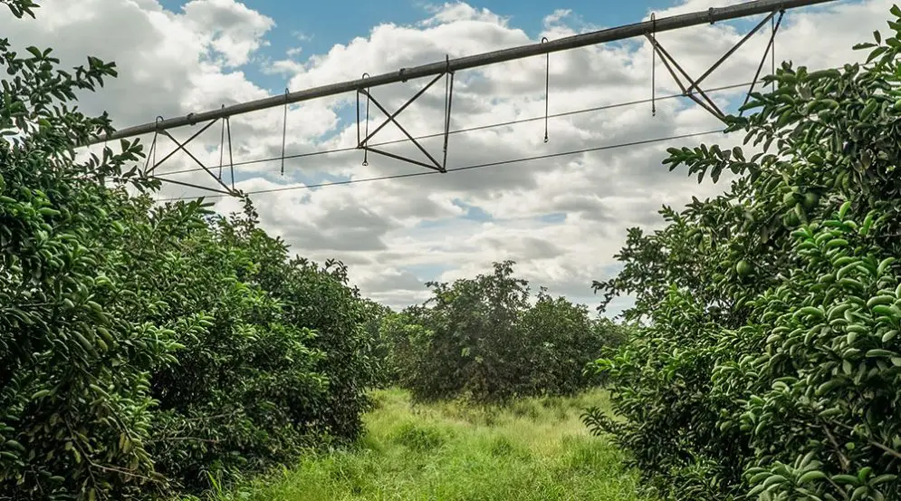 Pivot de alto perfil