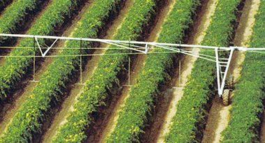 sistemas de riego Pivot de alto perfil