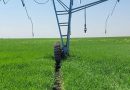 roderas agrícolas con riego Pivot