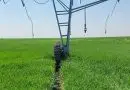 roderas agrícolas formadas con riego Pivot