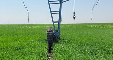 roderas agrícolas formadas con riego Pivot