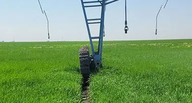 roderas agrícolas formadas con riego Pivot