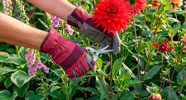 tareas de mantenimiento del jardín