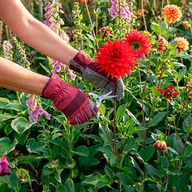tareas de mantenimiento del jardín