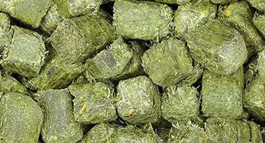 producción de alfalfa deshidratada