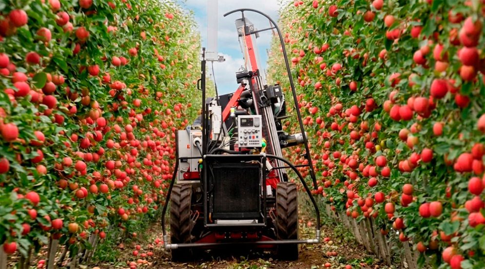 robots agrícolas para recolección de manzanas