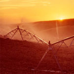 Pivots en terrenos arcillosos y ondulados