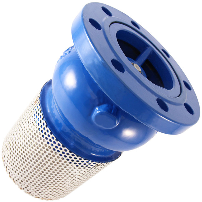 Válvula de filtro para evitar la entrada sólidos